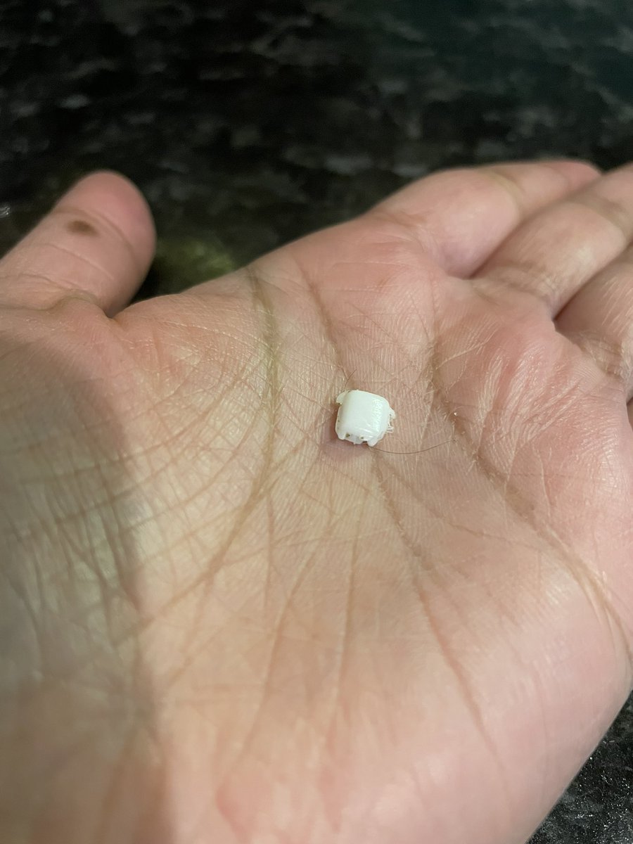 MMC__92's tweet photo. @PetsatHome We found a piece of plastic in your dog bag! Luckily my husband found it but this is very very dangerous! https://t.co/RAKcCr22VU