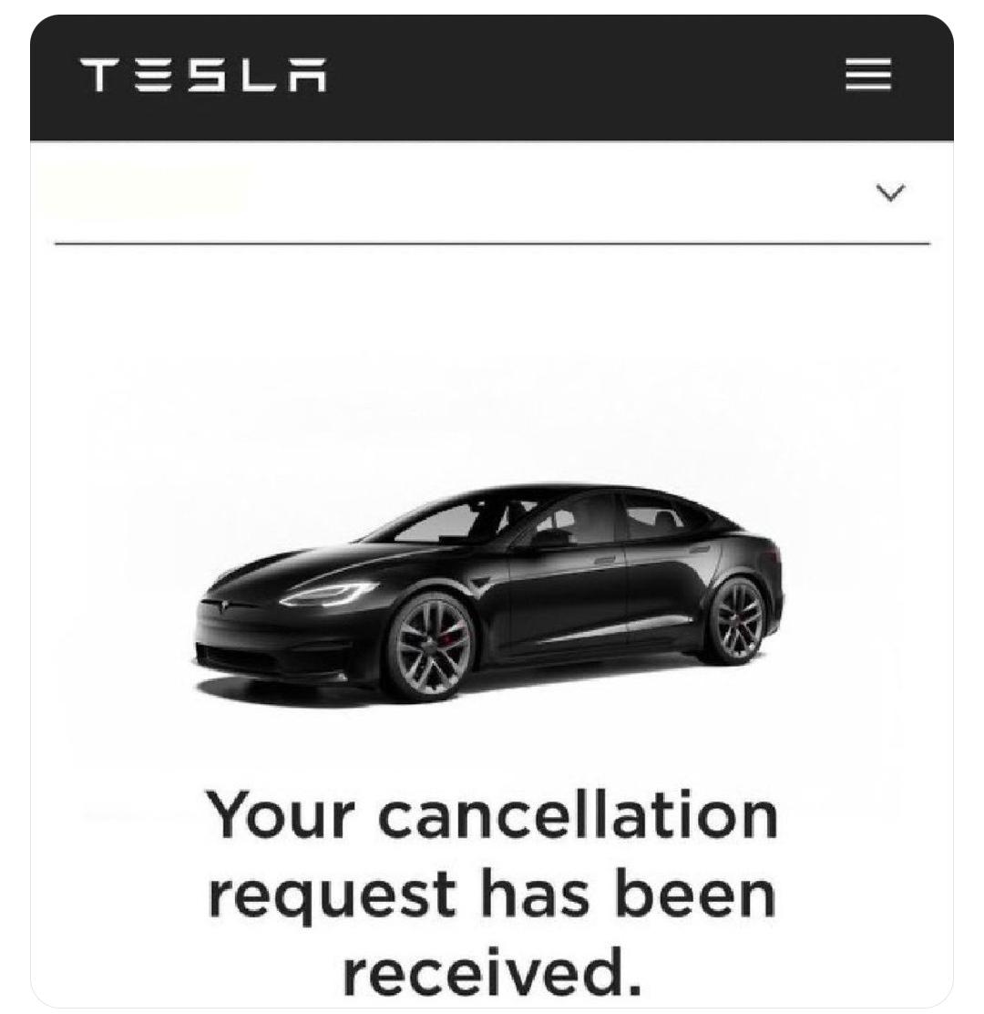 Nuno Telo tweet media