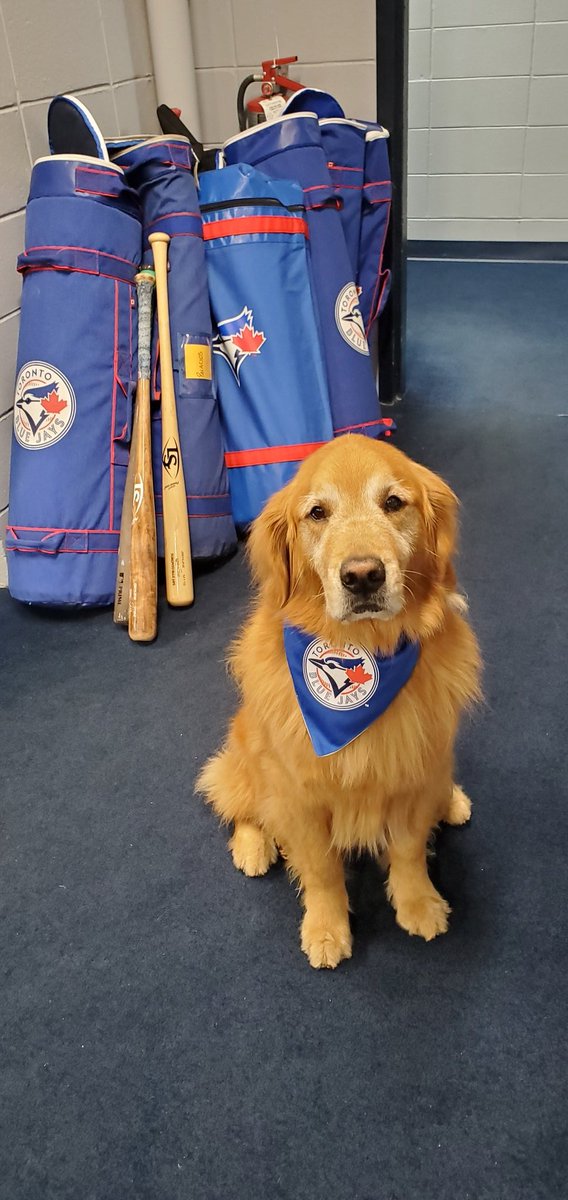 BatdogRookie's tweet photo. As part of my Bat Dog duties, I check out our @TrentonThunder bats to make sure they are all in good condition.  I walked by the visiting team bats, they brought so many...I've never seen this many bat bags in the hallway before. https://t.co/4udAc8xX0G