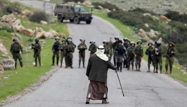 Toka76862974's tweet photo. Braver than your army. Older than your country.
#GazaUnderAttack
#savepalestinians https://t.co/G4bXr2Xe5s