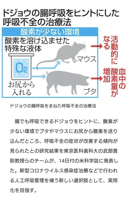 エヴァンゲリオンに影響を受けて酸素を溶かした液体を肛門から注入し、経腸的に酸素投与すると。こんな変態なことを考えたのは2