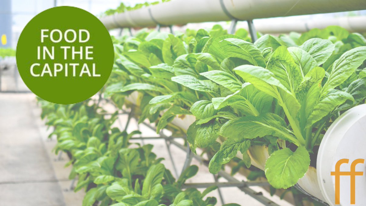 Canberra's first ever sustainable food event is happening on the 18th of May and we are going to have a look! It will be an exciting exploration of urban and regional farming, logistics and social enterprises 🌱#foodinthecapital #agrifood
Register: ow.ly/LjGx50EKqPm