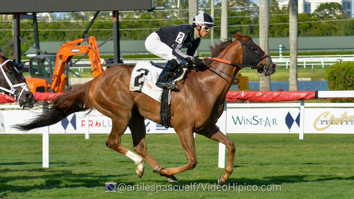 VideoHipico on Twitter Baxter's Apache Brave holds on to win