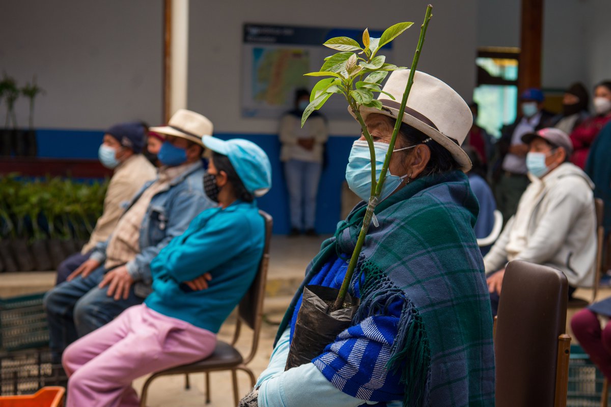No solo con palabras sino con hechos demostramos la gratitud que tenemos al sector rural. Esta mañana junto al GAD Parroquial de Chantaco entregamos mil plantas de aguacate injertas a los productores de este importante sector del cantón Loja.

#LojaParaTodos