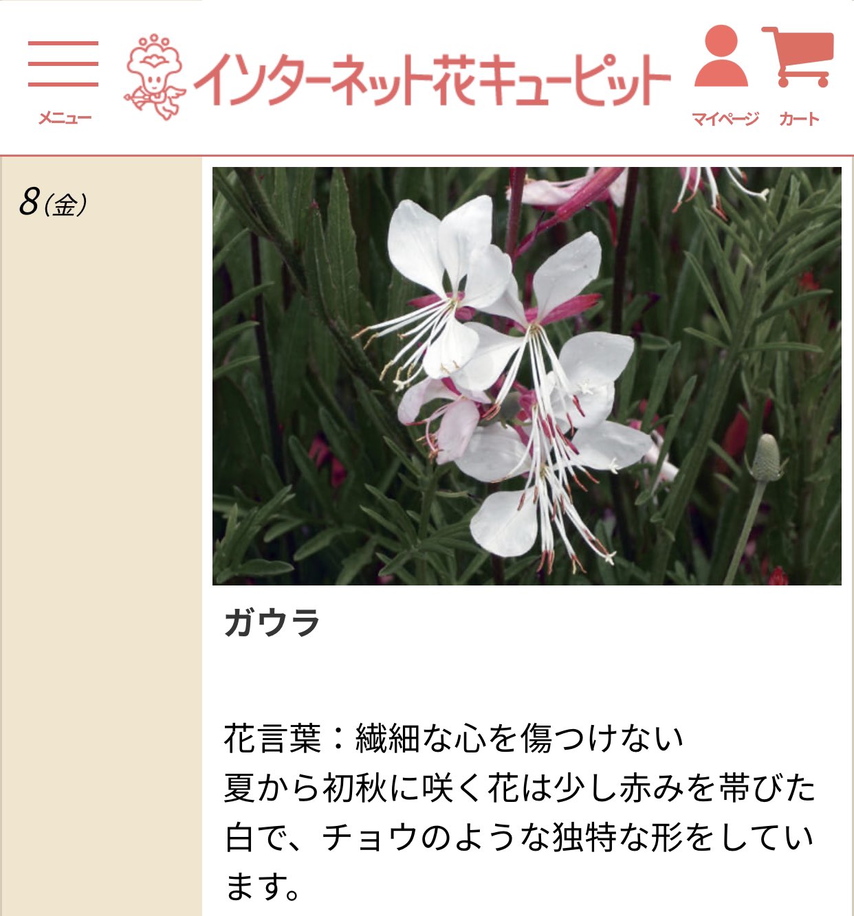 ラーメン小池 誕生花調べました たんたんはコレ レバステ T Co Ptfxnksytu Twitter