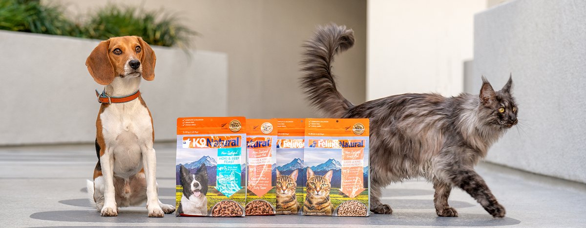 HealthySpot's tweet photo. When you're trying to model and Mom opens a bag of treats... #FurryFail #overit #workmood #weekendmode https://t.co/unPtEC7zMi