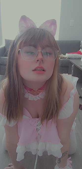This just in, local cute cat maid gives sloppy bj (not pictured) https://t.co/0lxG8RR1VU