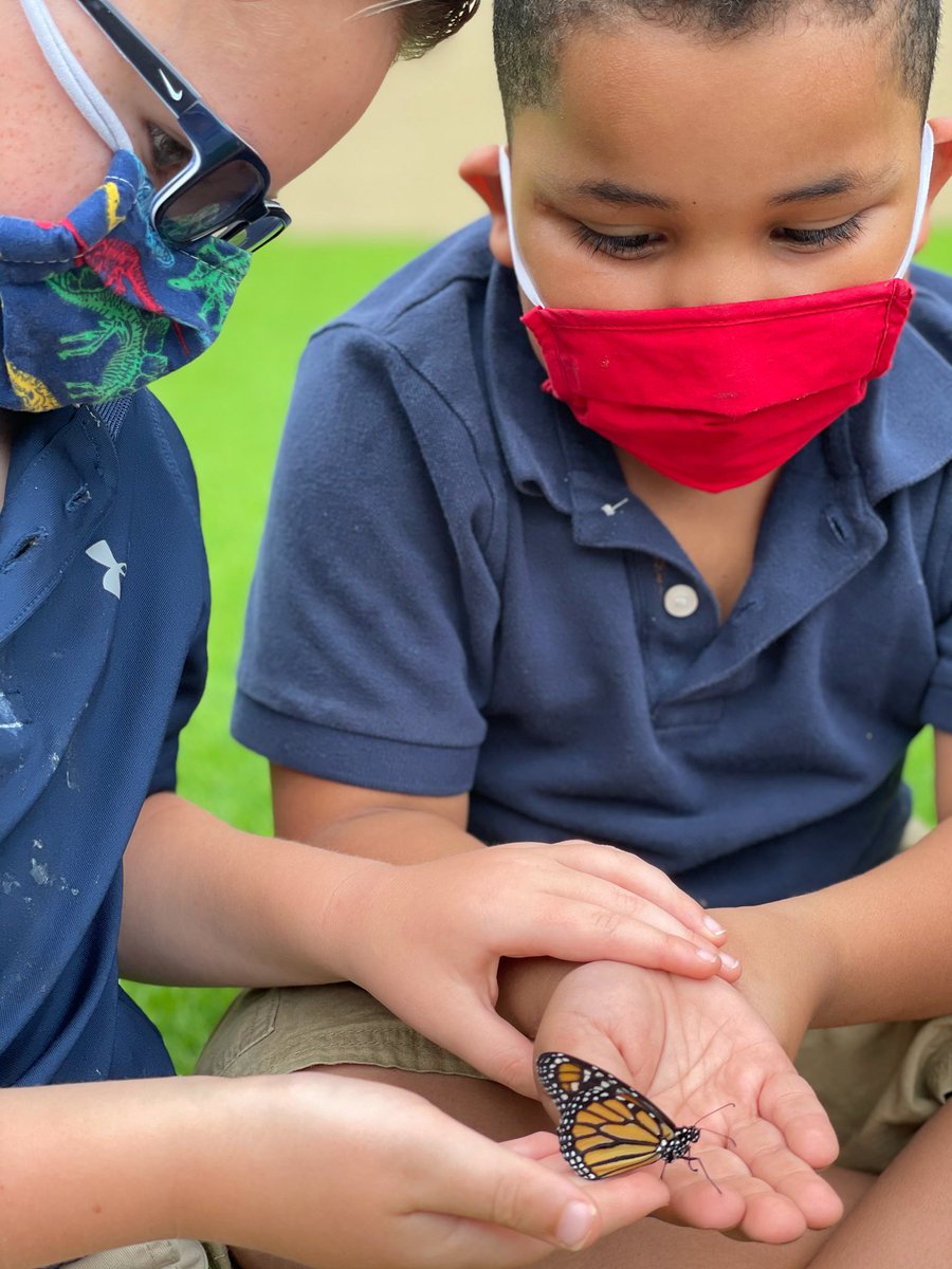 Hunter's Green Elementary tweet media