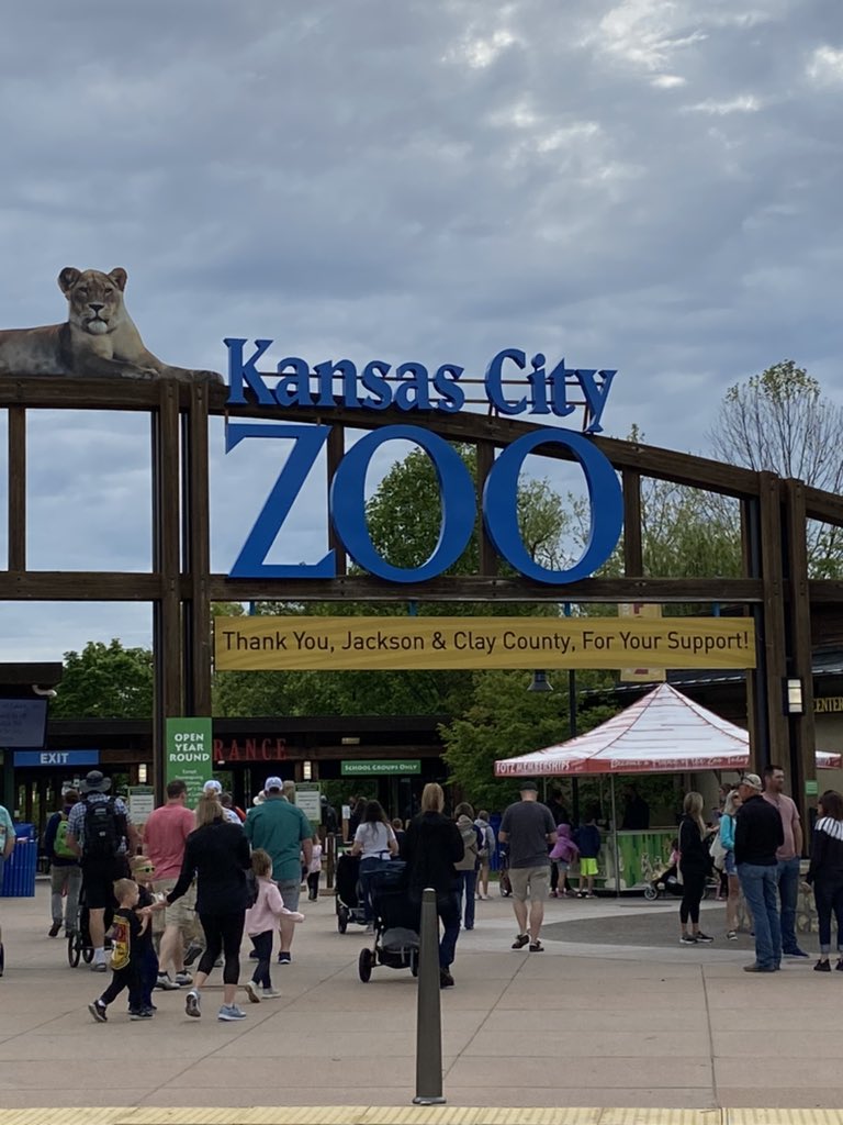 ShaineMarsden's tweet photo. Took my first vacation day since starting at KU and made my first trip to Kansas City to visit the @kansascityzoo. I may or may not have squealed out loud when I saw the koalas and red panda.  Definitely the best way to end the semester. https://t.co/T68VSr9aCA