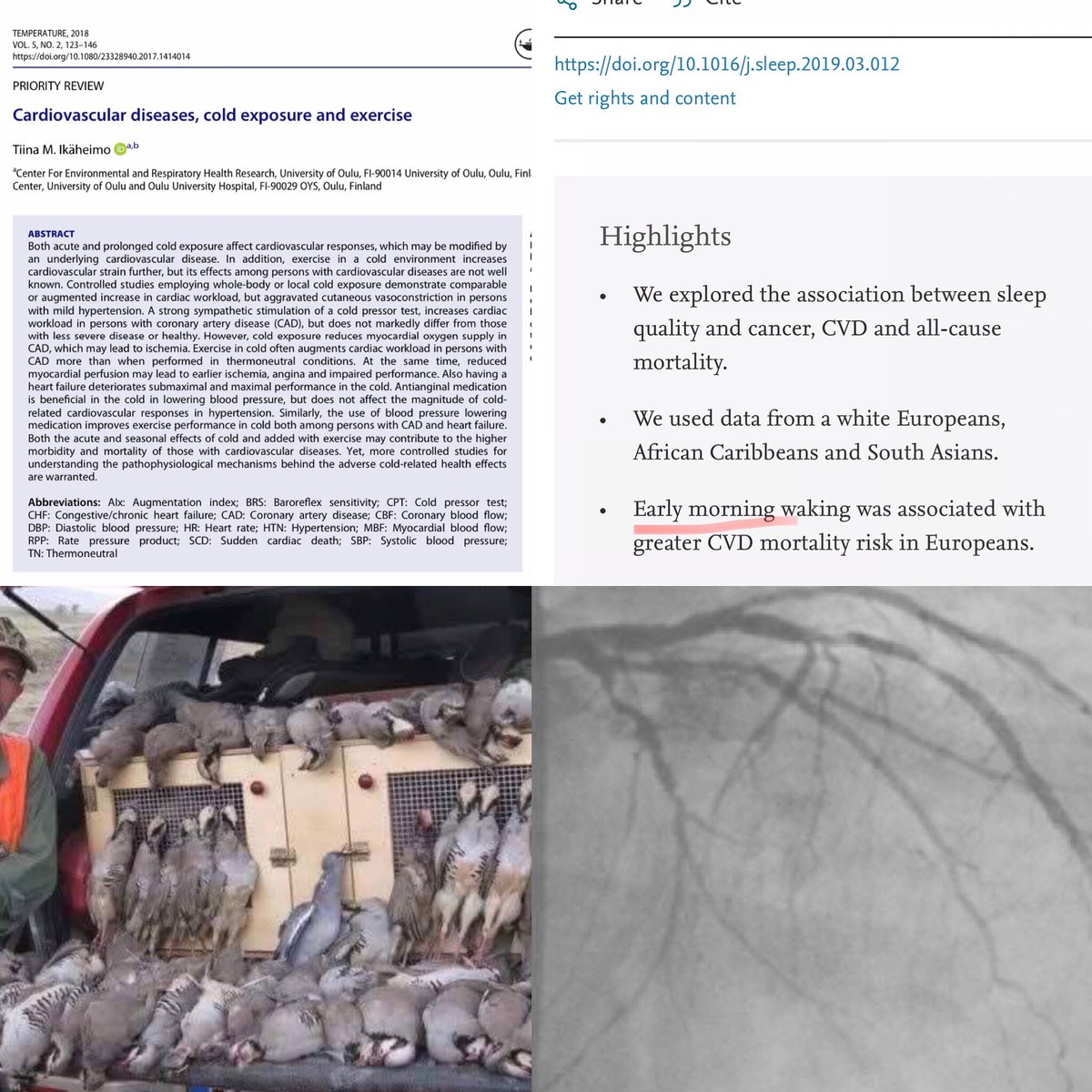 Ercan Akşit (@er_cordis) on Twitter photo Observation: Hunting sport (!) may be associated with more multi vessel disease than the normal population. Possible mechanisms: exposure to cold-weather and adrenaline in early morning. <a href="/escardio/">European Society of Cardiology</a> <a href="/ACCinTouch/">American College of Cardiology</a> <a href="/TKDResmi/">Türk Kardiyoloji Derneği</a> Observation: Hunting sport (!) may be associated with more multi vessel disease than the normal population. Possible mechanisms: exposure to cold-weather and adrenaline in early morning. <a href="/escardio/">European Society of Cardiology</a> <a href="/ACCinTouch/">American College of Cardiology</a> <a href="/TKDResmi/">Türk Kardiyoloji Derneği</a>