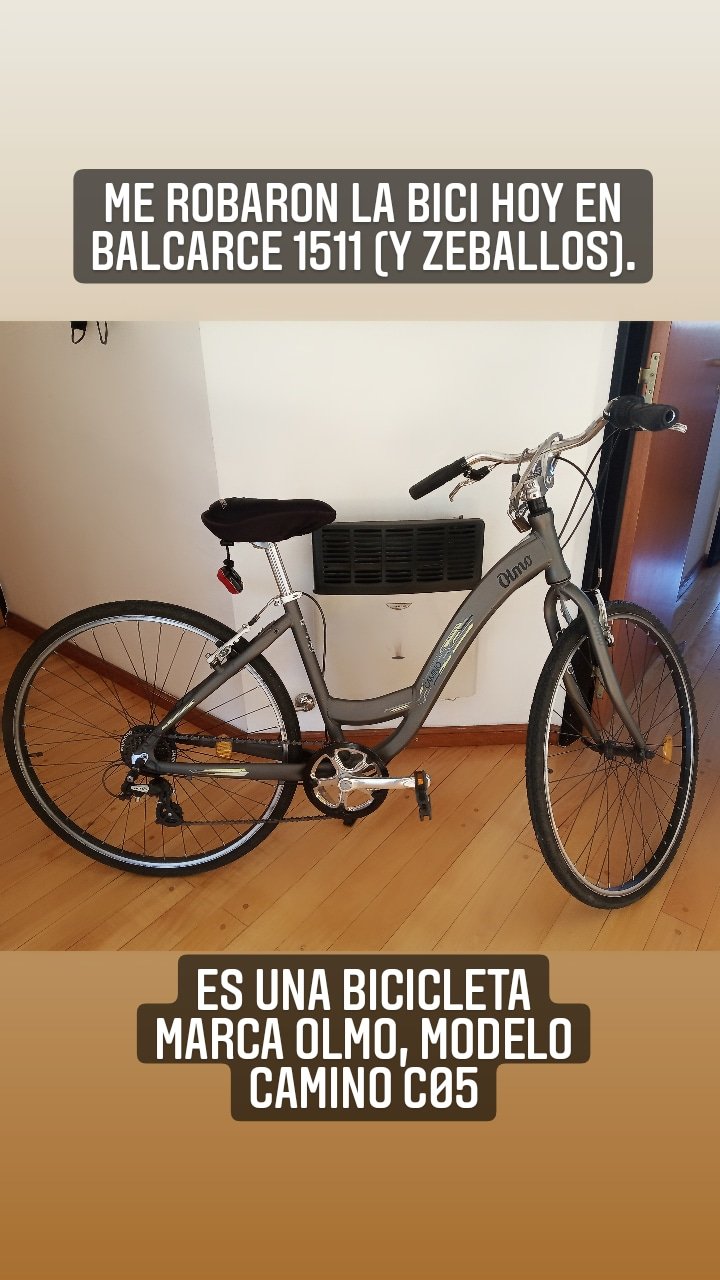 Olmo camino c05 new arrivals