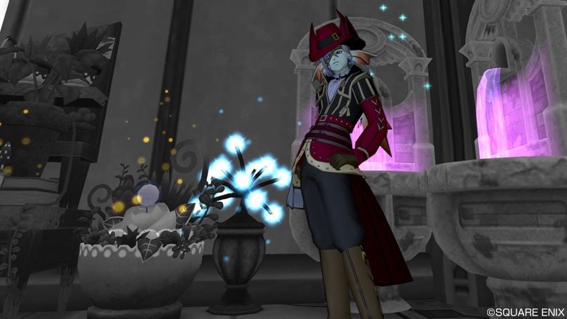 スノウ 今更猫貴族 最近中々イン出来てなかったですが ドレアしたくて久しぶりにインしましたぁ 今回は貴族風ドレア で色も貴族らしく高い色いっぱい使いました スノドレ ドレエメ ドラクエ10 会心の猫貴族 T Co 0pghndfz9x