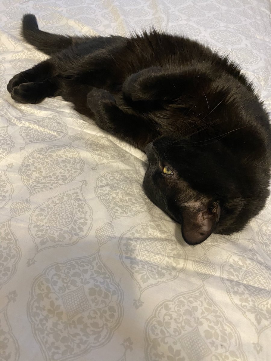 Donald Lee III tweet media