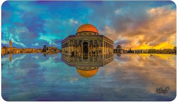 ___basim's tweet photo. I support #Palestine and I am from India 

#PalestineUnderAttack #Palestinelivesmatter #PalestineChildren #PalestineWillBeFree https://t.co/TwtYznZJfd