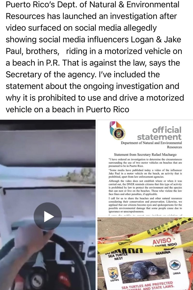 when <a href="/LoganPaul/">Logan Paul</a> announced he was moving to #puertorico i knew he would do something fucked up … didnt take him too long … (kindly gtfo, bro)