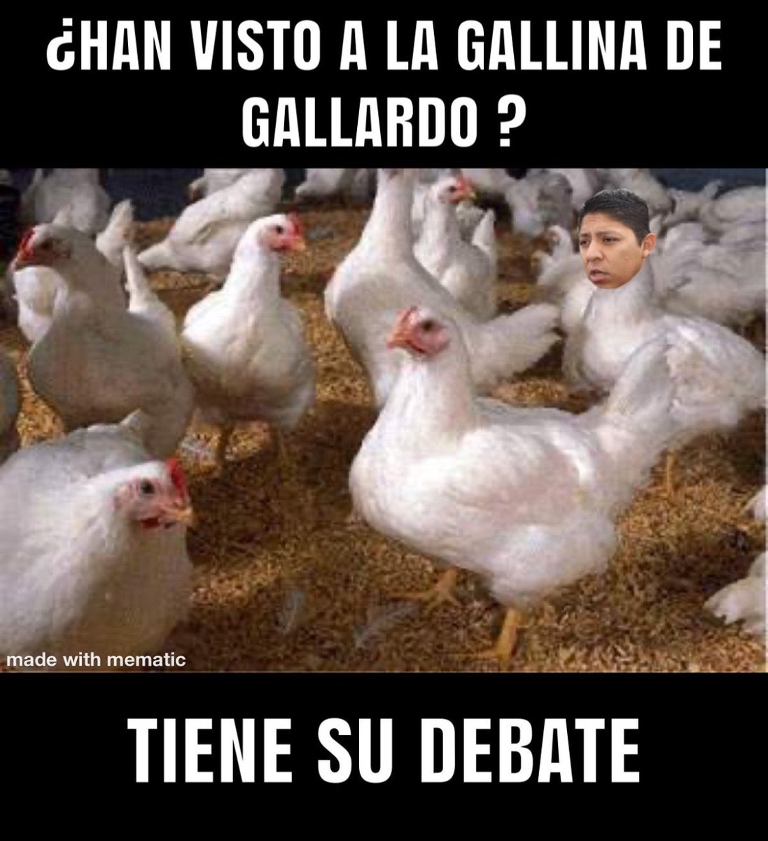 Franco Castillo tweet media