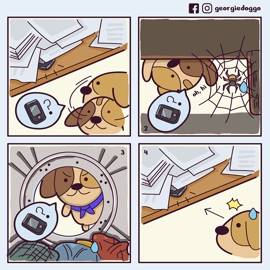 Georgie The Doggo Georgiedoggo Twitter Georgie The Doggo Georgiedoggo Twitter