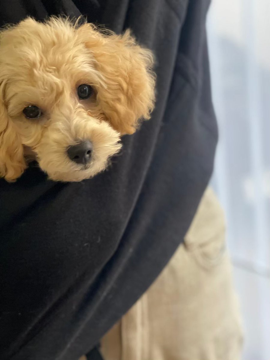 9e 80 96 B6 Ba Twitter Search