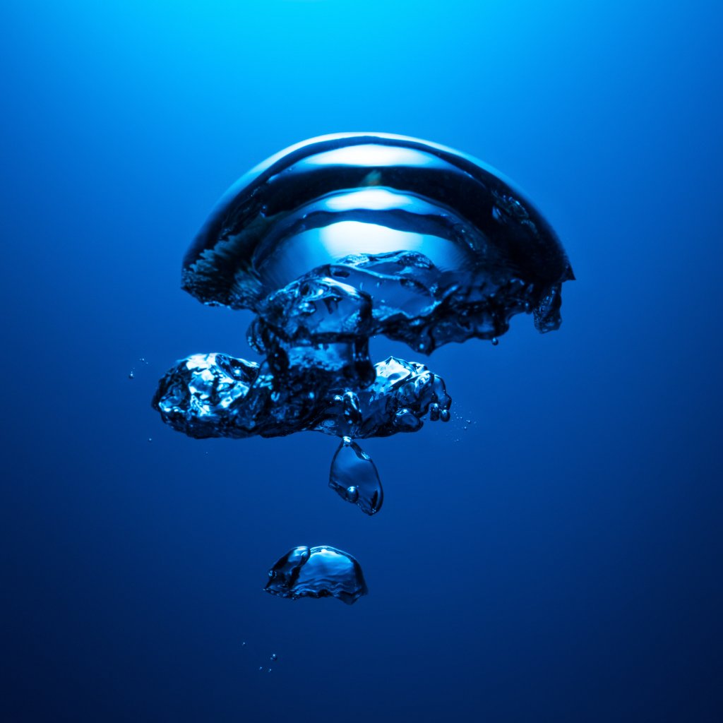 Aquanauts Aquanautsuk Twitter