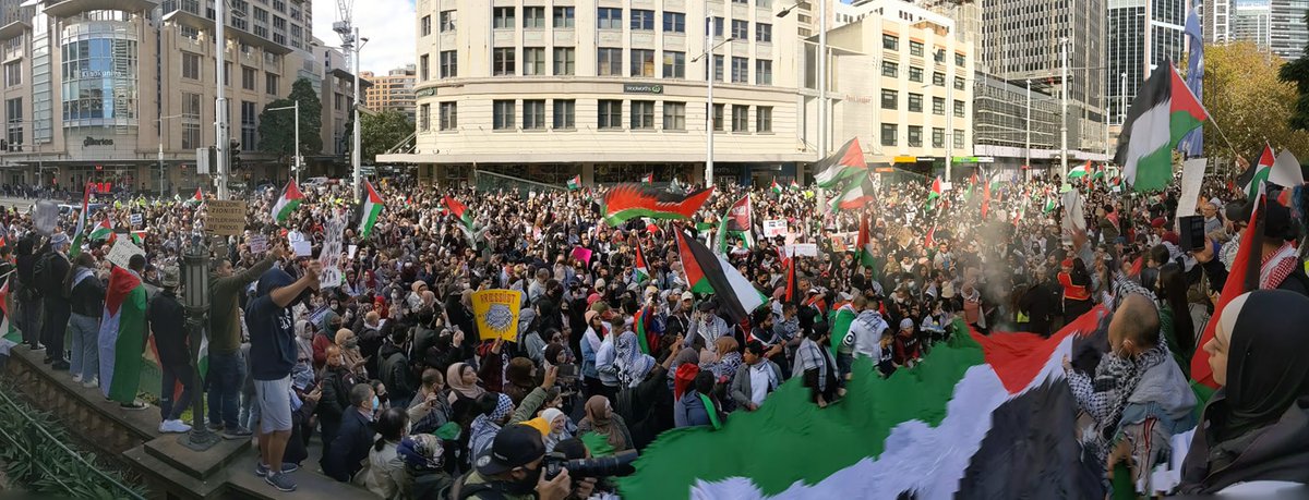 redflag_soc's tweet photo. Sydney coming out for Palestine ❤️🇵🇸 #FreePalestine https://t.co/nwiXdsXRS5