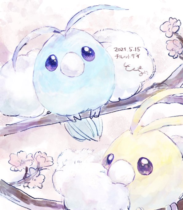 チルットのtwitterイラスト検索結果