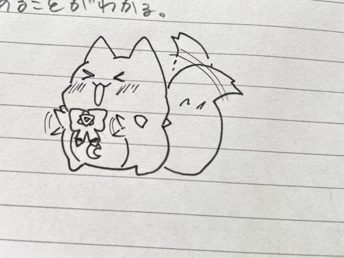 塩っこかわいい〜 