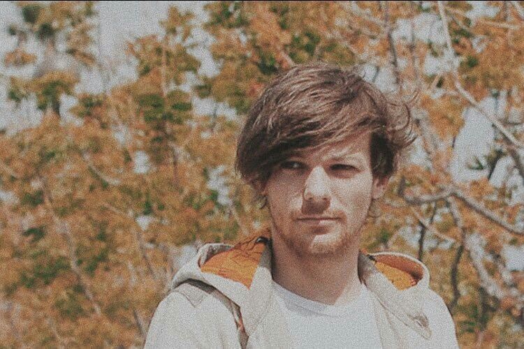 hhloubot's tweet photo. 🍁🍂

I vote #Louies for #BestFanArmy at the #iHeartAwards https://t.co/dmaGSG6icb