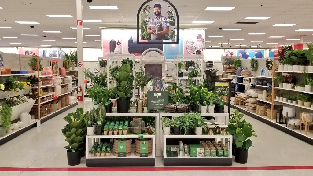 Emily_Coe3's tweet photo. Happy Plant, Happy You! Hilton Carter x @Target now available!! #PlantDoctor #HiltonCarterxTarget
@1ashower @johnson_sarah2 https://t.co/zkwDpcvIu8