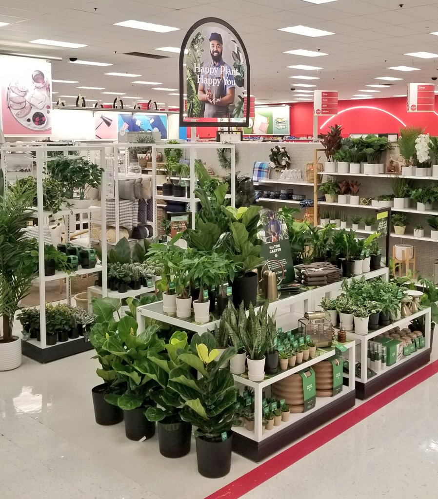 Emily Coe (@emily_coe3) on Twitter photo Happy Plant, Happy You! Hilton Carter x <a href="/Target/">Target</a> now available!! #PlantDoctor #HiltonCarterxTarget
<a href="/1ashower/">Ashley Moonshower</a> <a href="/johnson_sarah2/">Sarah Johnson</a> Happy Plant, Happy You! Hilton Carter x <a href="/Target/">Target</a> now available!! #PlantDoctor #HiltonCarterxTarget
<a href="/1ashower/">Ashley Moonshower</a> <a href="/johnson_sarah2/">Sarah Johnson</a>