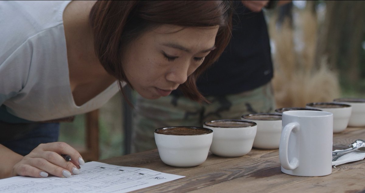 We frequently quality check TRIBO Coffees using a pricess called 'cupping.'

#tribocoffee #agreatfind #cupping  #singleservingpourover