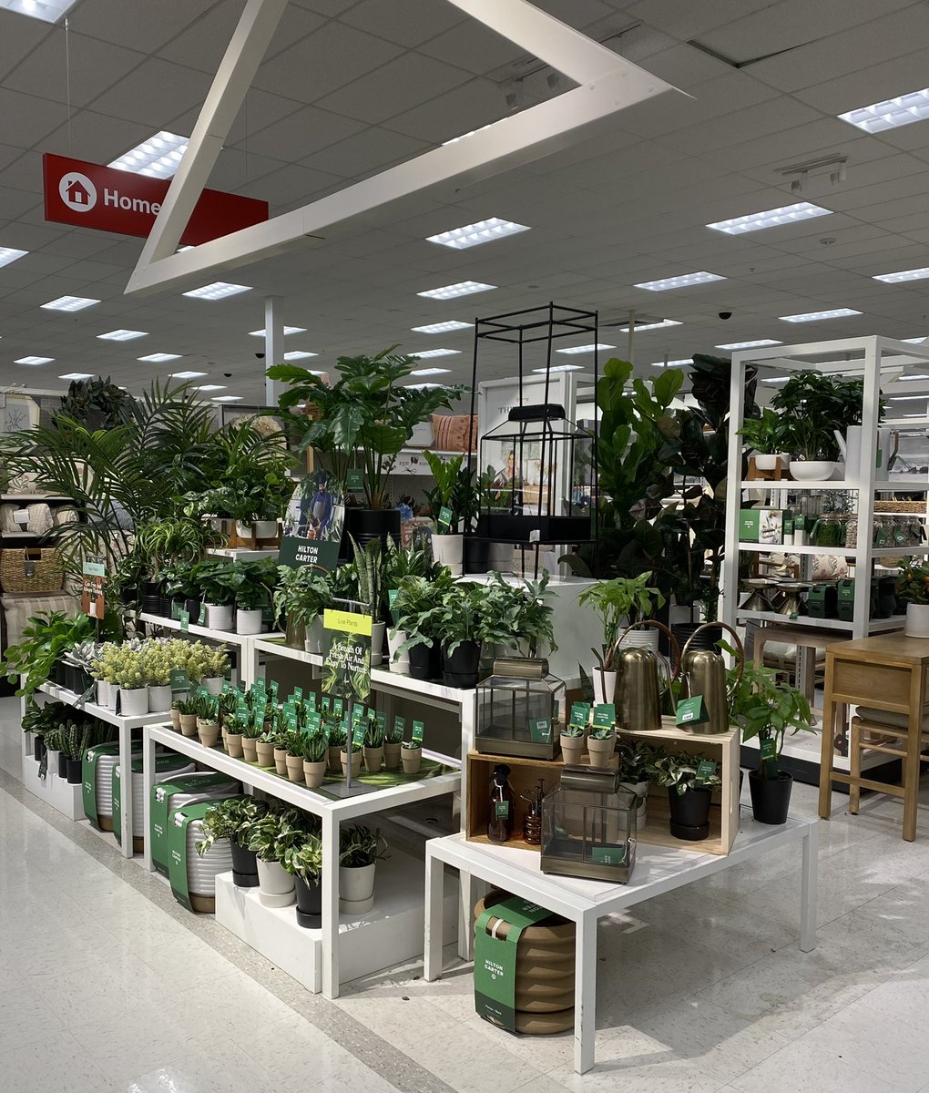 shaheedAtTarget's tweet image. Guests are super Excited about the Epic partnership, Hilton Carter X Target #HiltonCarterxTarget limited edition collection! Chic Plants for everyone from plant lovers to 1st time plant owners. Prices range from $5-$130. Major Props to VM John &amp;amp; Team for this beautiful execution