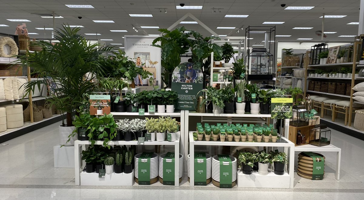 shaheedAtTarget's tweet image. Guests are super Excited about the Epic partnership, Hilton Carter X Target #HiltonCarterxTarget limited edition collection! Chic Plants for everyone from plant lovers to 1st time plant owners. Prices range from $5-$130. Major Props to VM John &amp;amp; Team for this beautiful execution