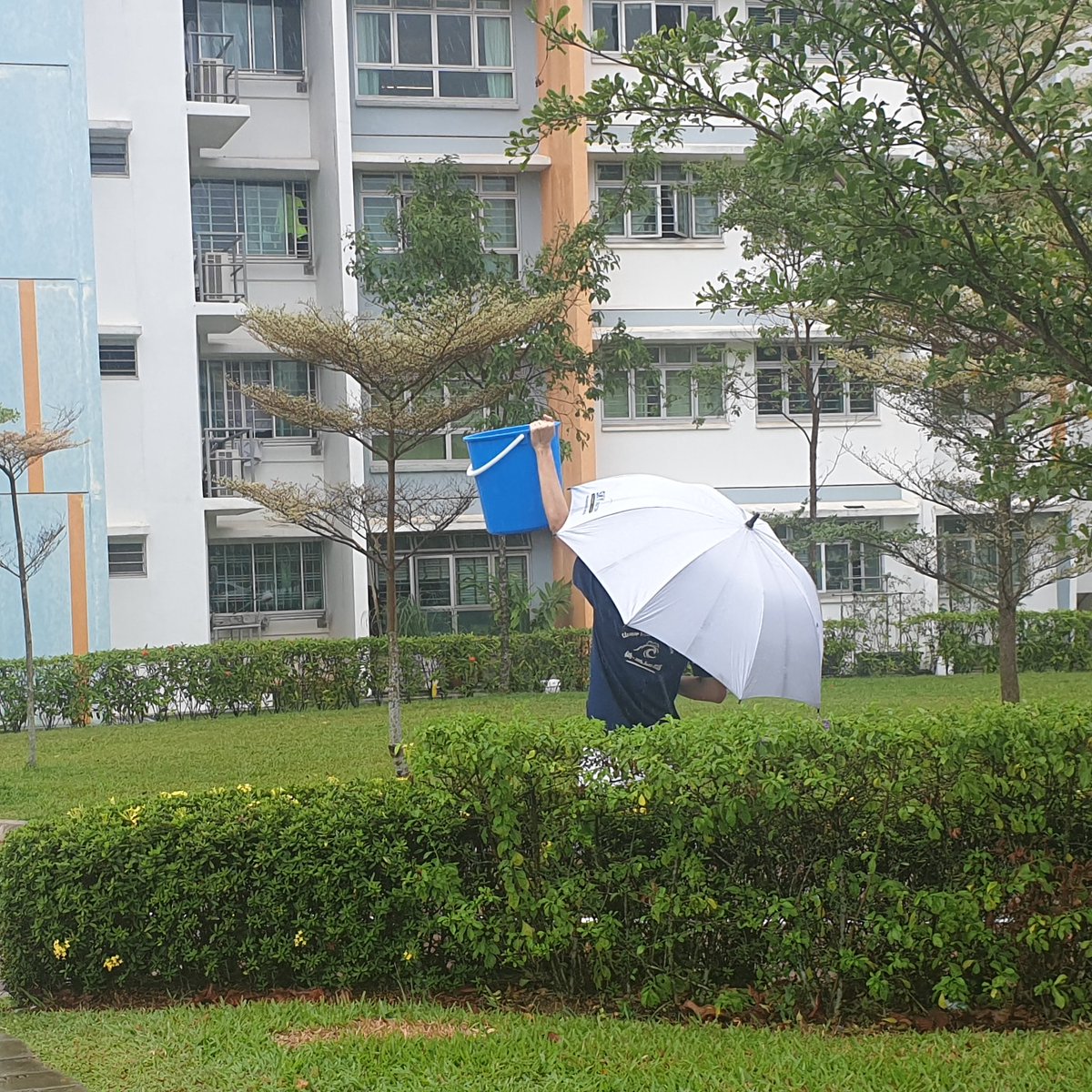 ExoWraith's tweet image. Heavy rain. Free water