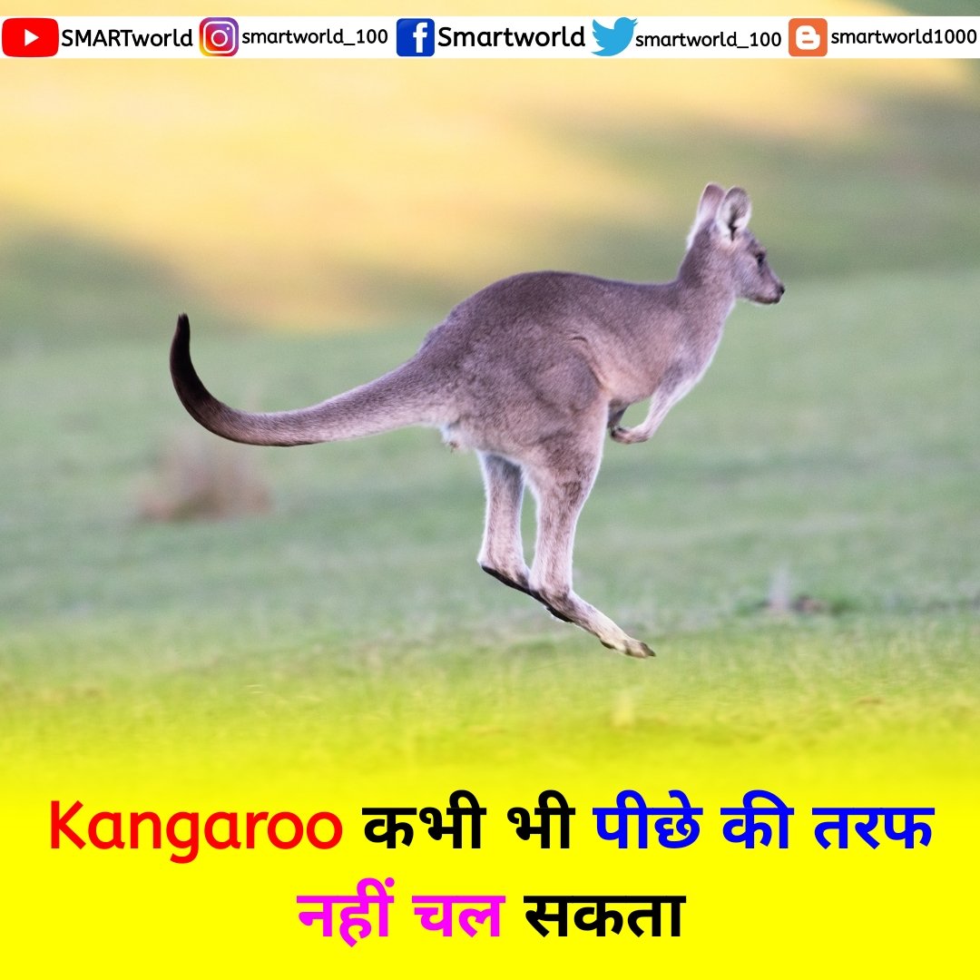 Smart World on Twitter: Smart World on Twitter: