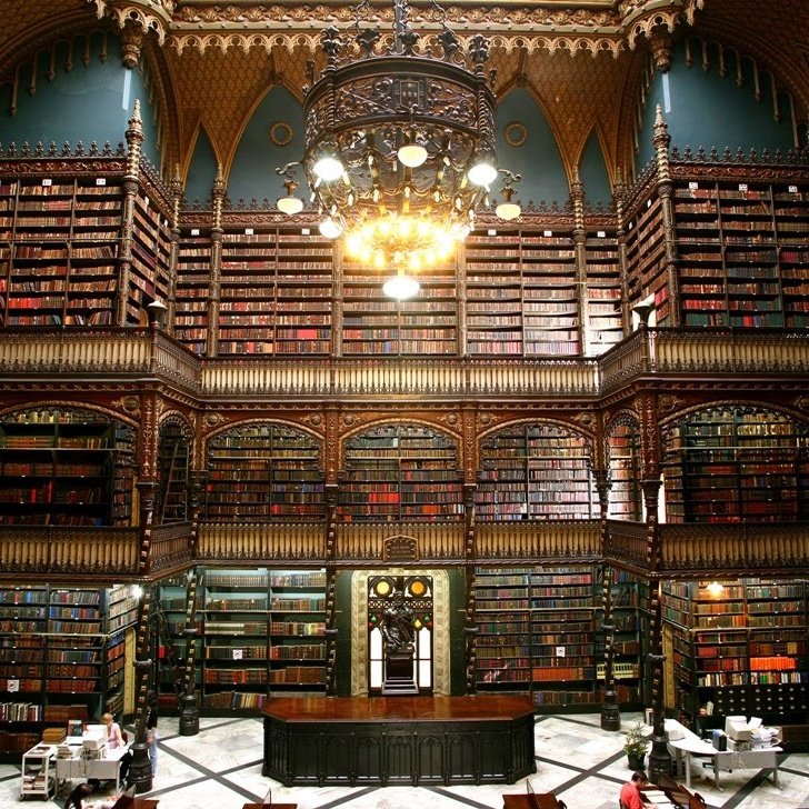 LeitoraSltra's tweet photo. As bibliotecas mais bonitas do mundo - a thread; https://t.co/qTRAZERYiN