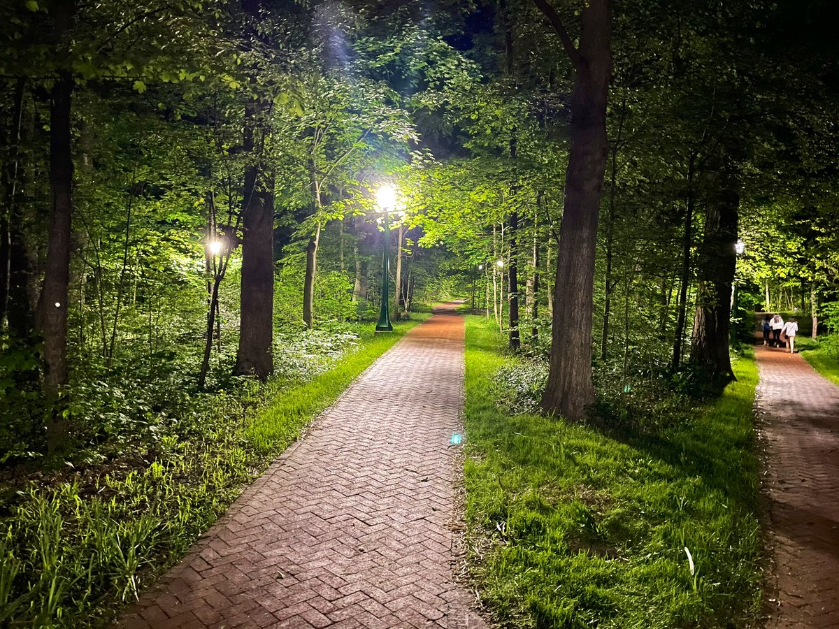 Austen Parrish (@austenparrish) on Twitter photo As pretty at night as it is during the day. Walking home from <a href="/IUMaurerLaw/">IUMaurerLaw</a> through #DunnWoods. Spring on the <a href="/IUBloomington/">IU Bloomington</a> campus. As pretty at night as it is during the day. Walking home from <a href="/IUMaurerLaw/">IUMaurerLaw</a> through #DunnWoods. Spring on the <a href="/IUBloomington/">IU Bloomington</a> campus.