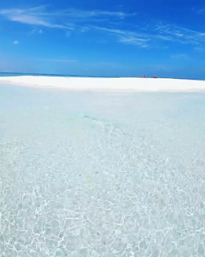MALDIVITY's tweet photo. Hello Saturday! Hidden Gems🏖💎 💦💙
.
.
.
#maldives #maldivity #sandbank https://t.co/BlFF35wDBr https://t.co/ipP2EBywpO