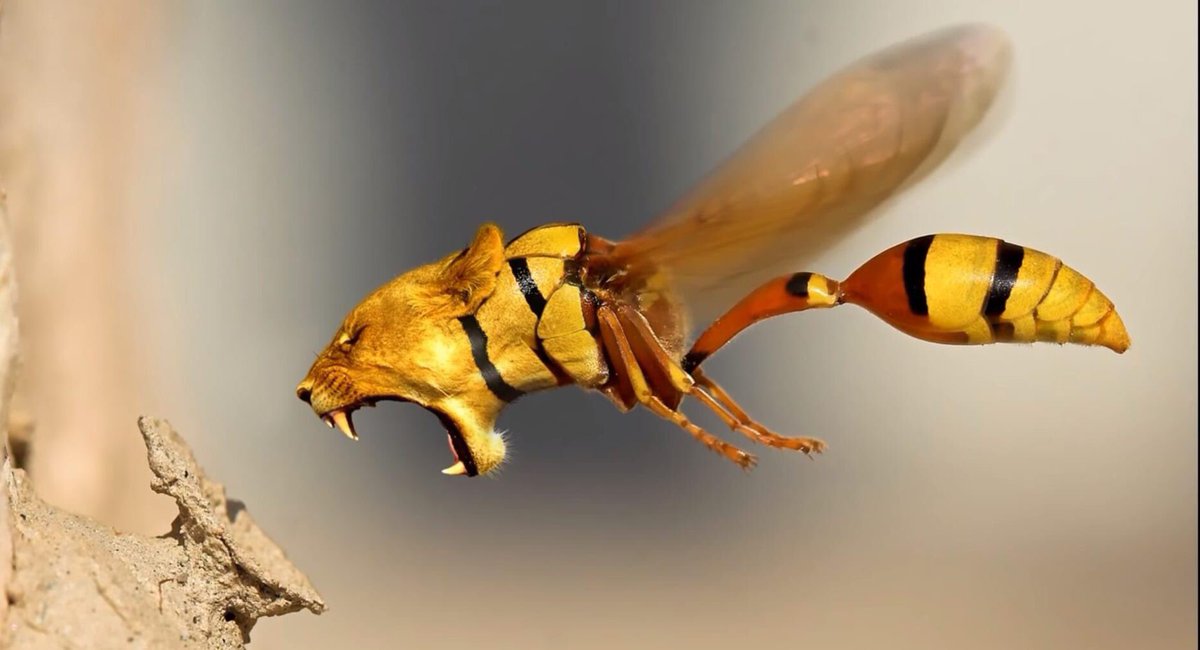 Tuấn Hưng (@tuyphong1369) on Twitter photo 