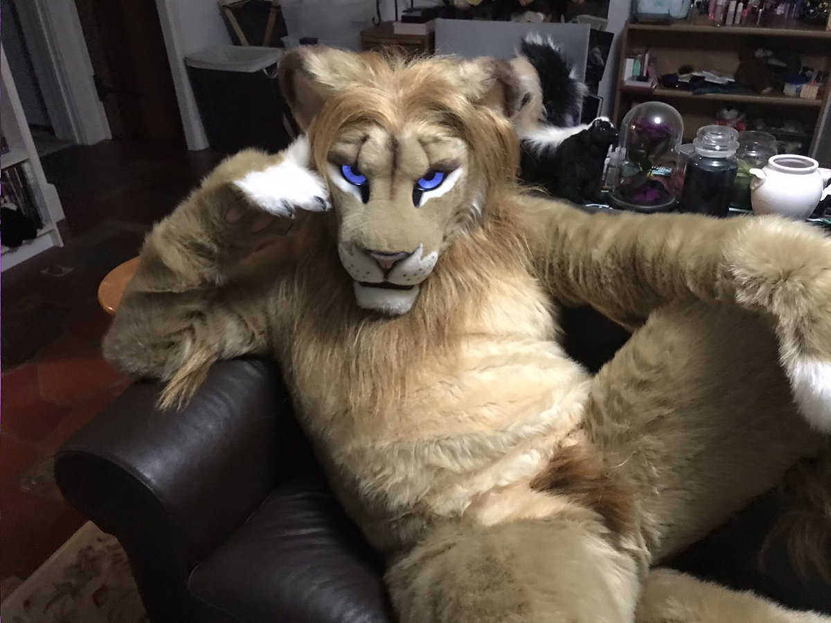 Kibaskunk's tweet photo. Lion around #FursuitFriday https://t.co/FKFysmR1tN