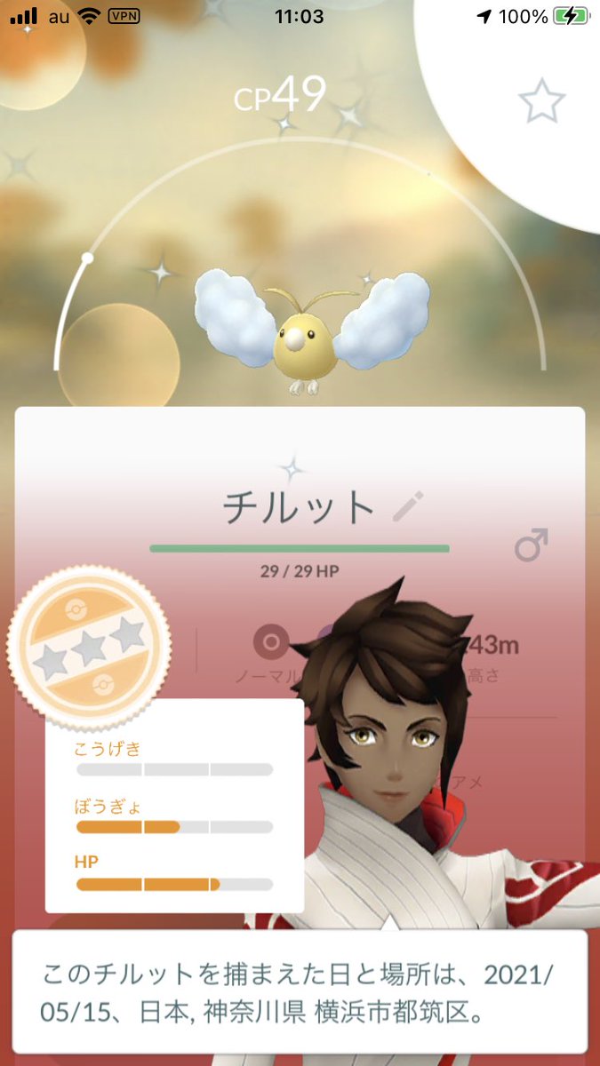 色違いチルット Twitter Search 色違いチルット Twitter Search