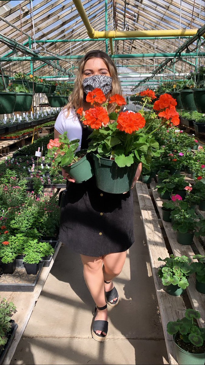 HartyBrooke's tweet photo. Plant girl summer 🪴 🌸 🌿🌺🌷🌼 https://t.co/6YeqkkH8GT