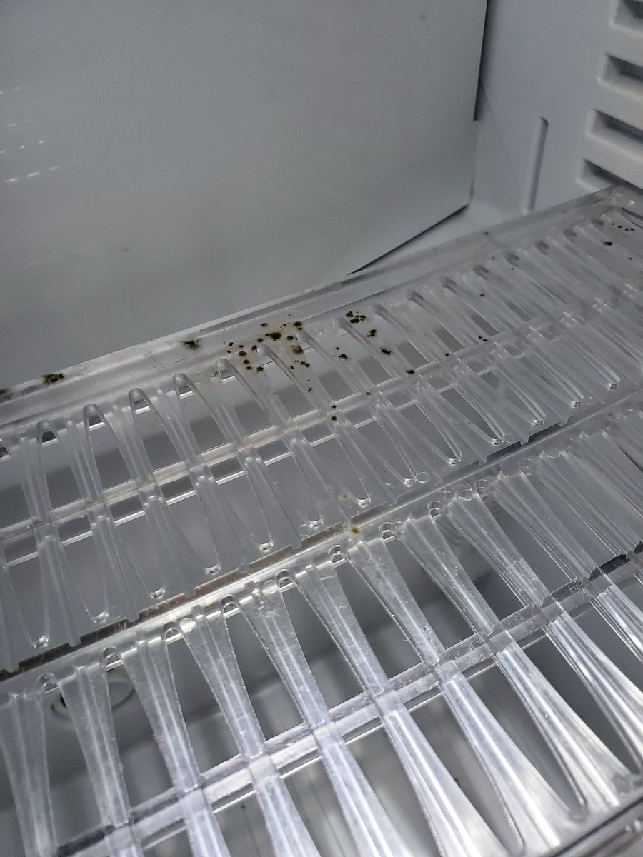 pxismyname's tweet photo. Step up yo game @Hyatt #mold #flies https://t.co/u3zV8bP6ZJ
