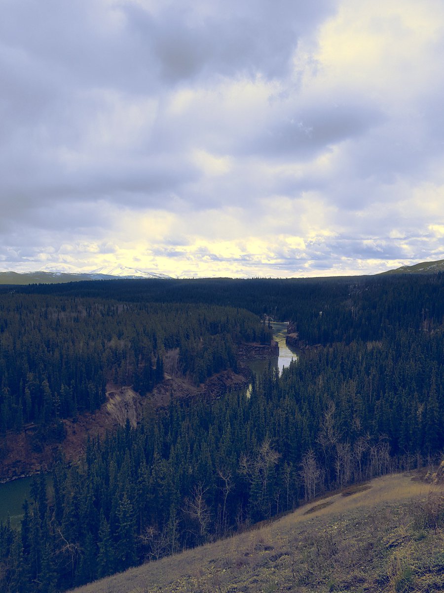 Michelle O Callaghan tweet media