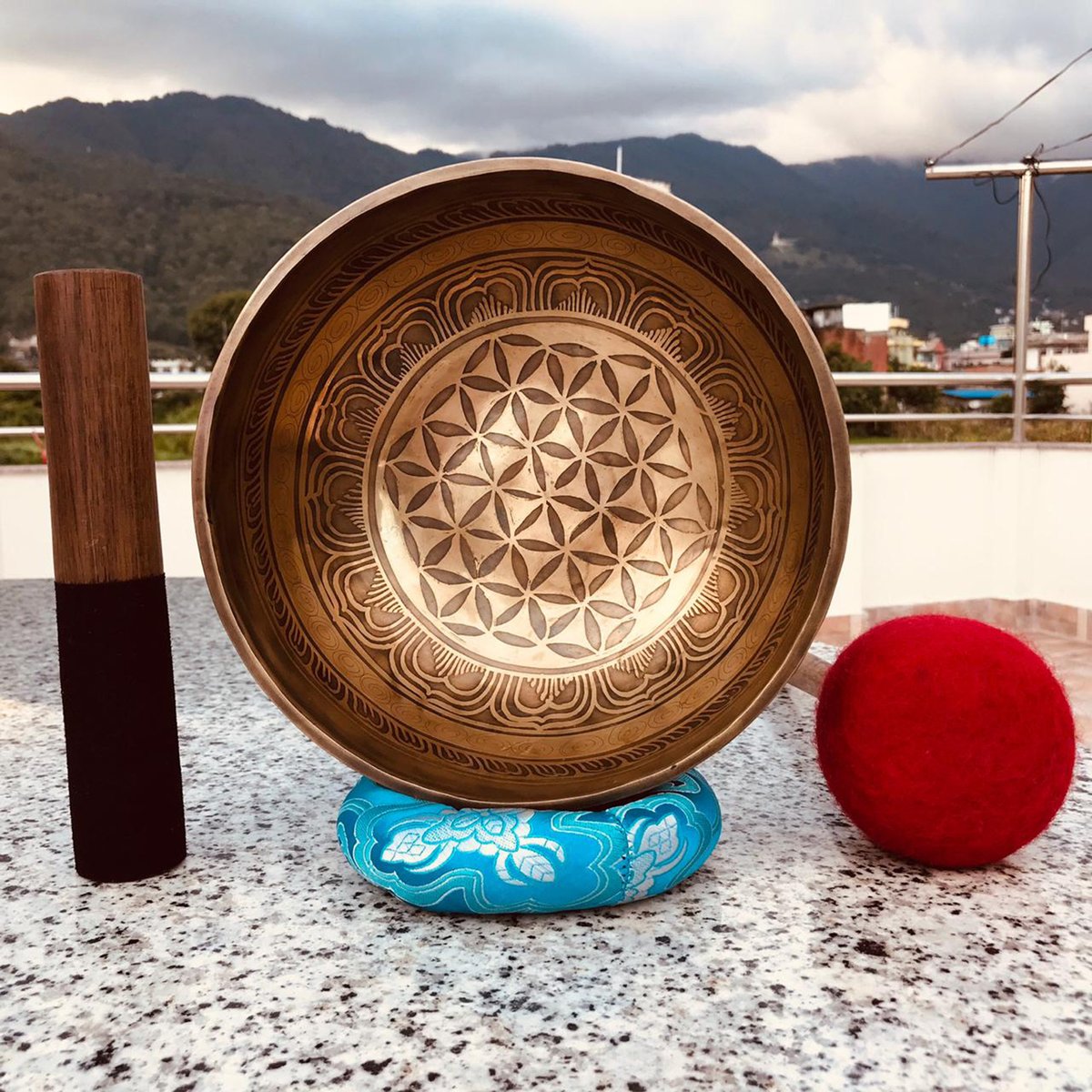 BowlsTibetan's tweet photo. Excited to share the latest addition to my #etsy shop: Himalayan Singing Bowl | Beautiful Flower Carving 8.5 Inch Tibetan Bowls | Healing, Meditation, Yoga Bowls https://t.co/7OTXz8SI6D #himalayansinging #bowl #singingbowls #flowercarvingbowl #meditationyoga #handmadeb https://t.co/fxt8VgNjQ8
