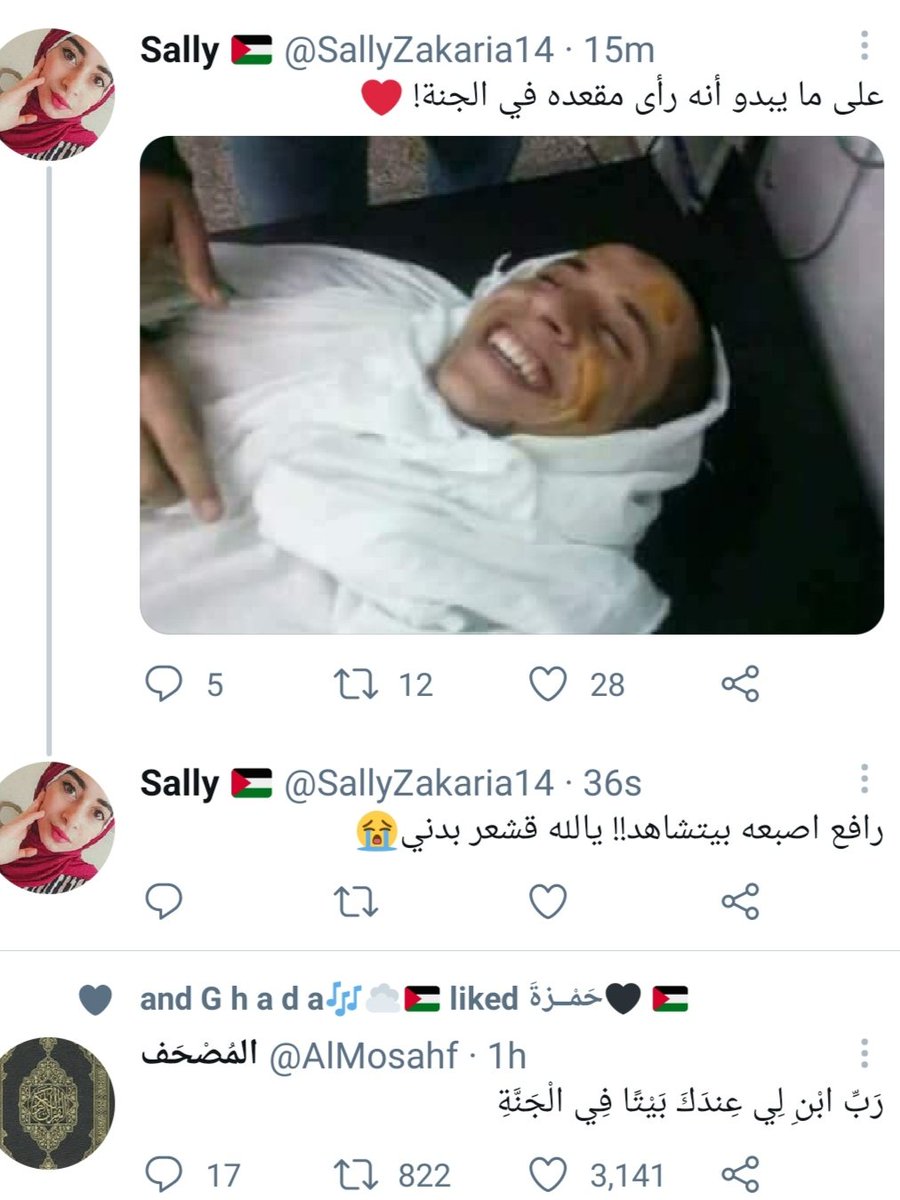 Sally On Twitter على ما يبدو أنه رأى مقعده في الجنة