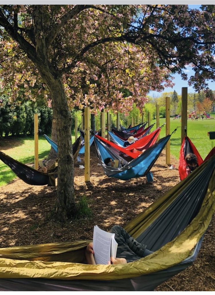 Principal Cahill tweet media