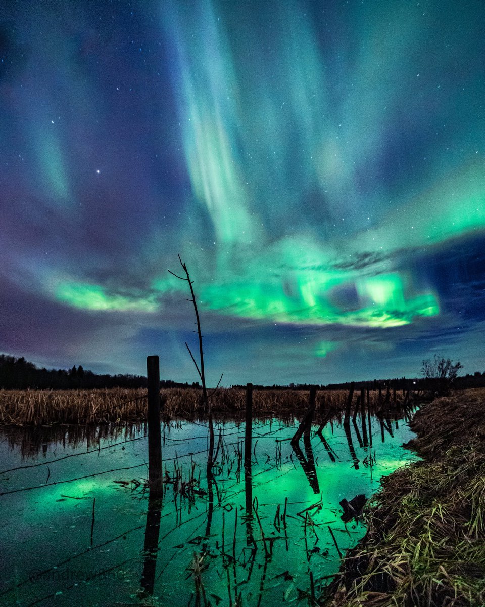 This weekend is looking good to see lady #aurora
 #stayandwander #exploreedmonton  #explorecanada  #jaw_dropping_shots #Canadasworld  #ParadiseCanada #InsideCanada   #Globalcapture #TravelAlberta #Got_greatshots  #ExploreAlberta  #northenlights #Depthofearth  #shareyourweather