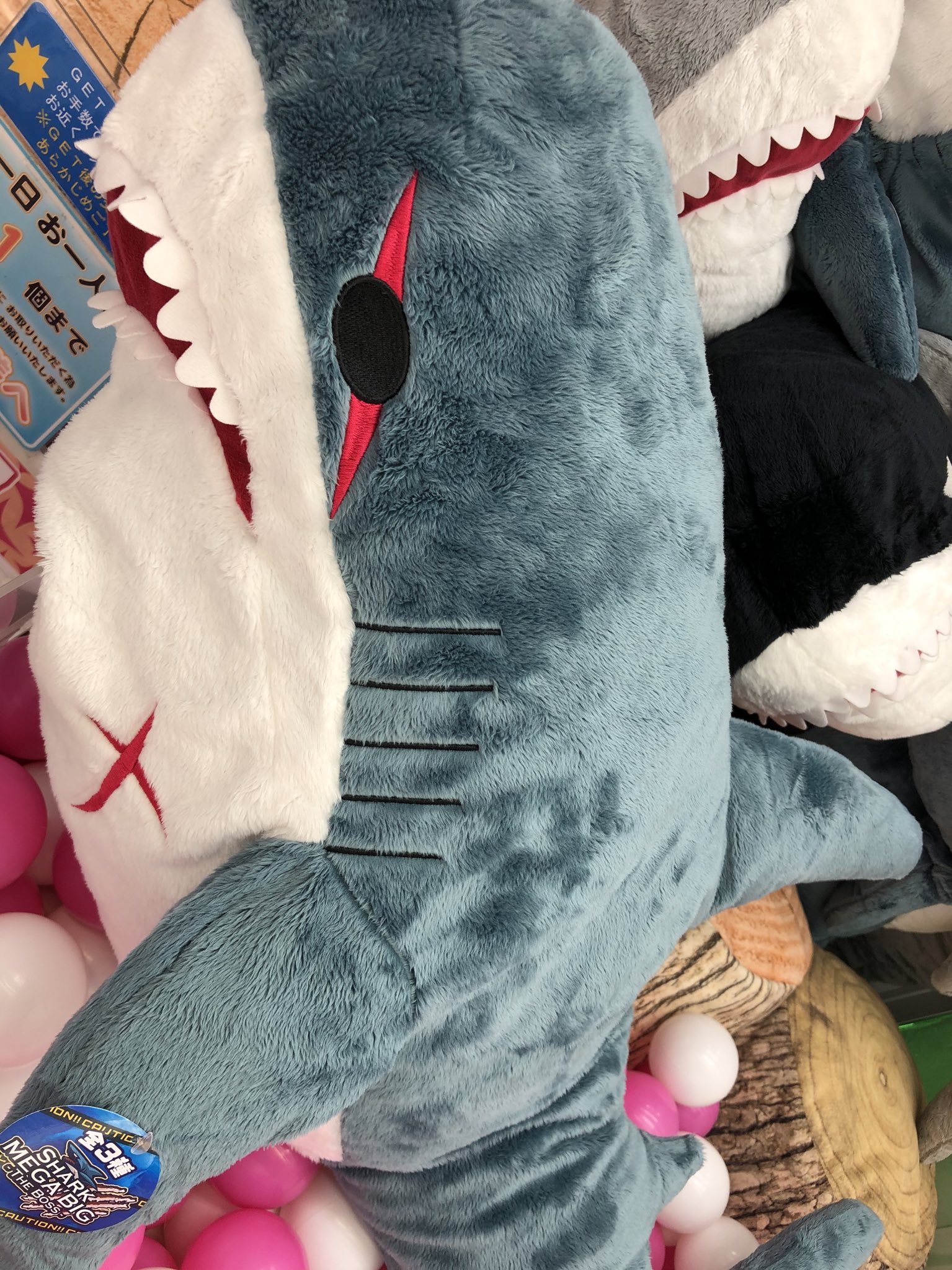 秋 葉 原 Hey ありがとう21周年 プライズ 新入荷 サメメガbigぬいぐるみ3 The Boss 超大型のサメメガbigぬいぐるみ入荷です 今度はボス 全長約100cmです コトブキヤさん側1階に登場です 秋葉原hey サメ T Co Qdfint3aec