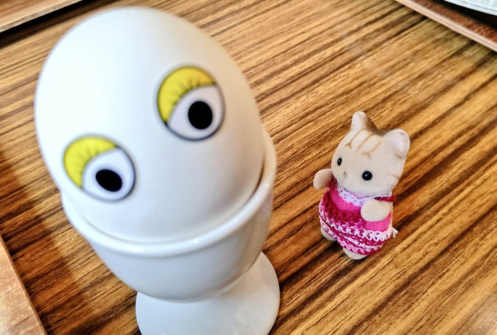 おうちにかえりたいシマネコの赤ちゃん Simanekokaeru Twitter