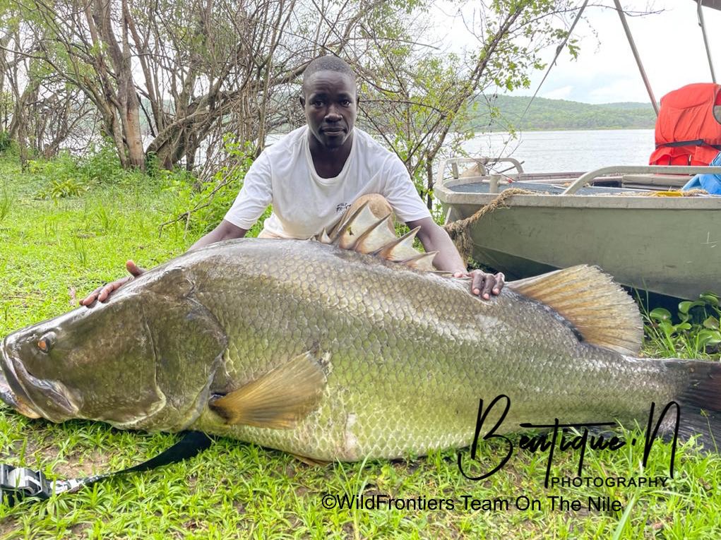 record nile perch